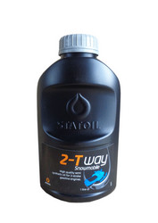 ������ �������� ����� Statoil 2-T Way Snowmobile (1�),  � ��������-�������� � ��������